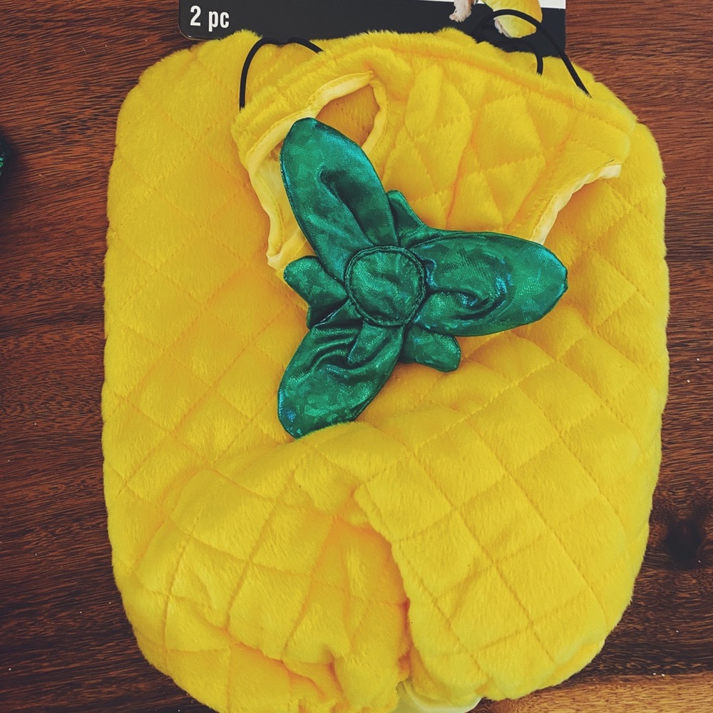 Dog costumes! Brand new. Dinosaur and pineapple.